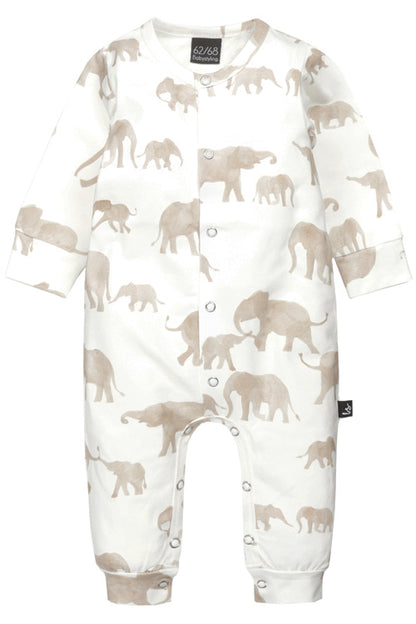 Boxpakje little elephant