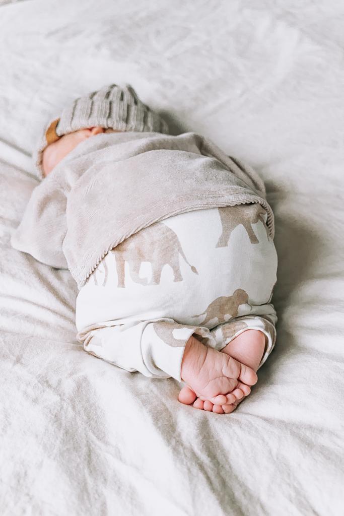 Little elephant pants